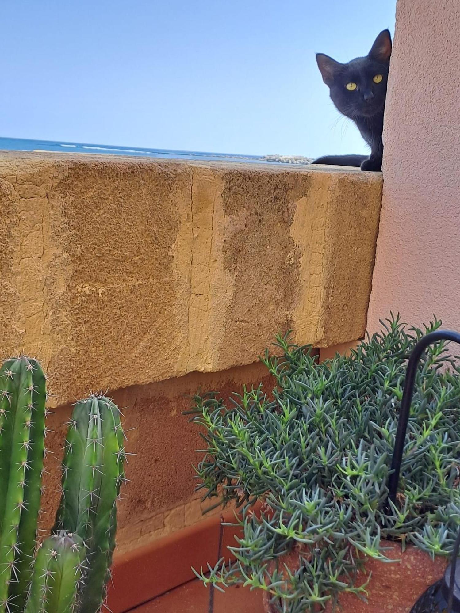 La Casa Sulla Spiaggia Marzamemi Dış mekan fotoğraf